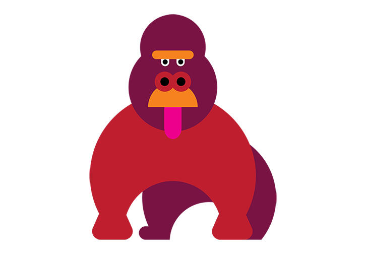 Gorilla Sticking Tongue Out